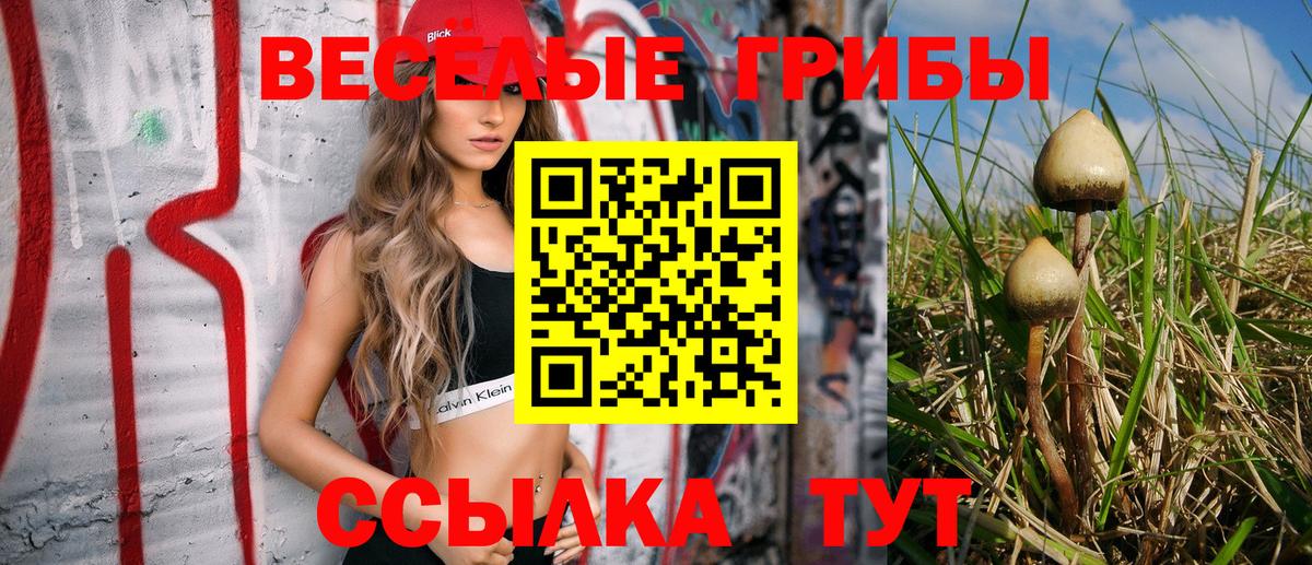 Псилоцибиновые грибы Psilocybine cubensis Ростов-на-Дону