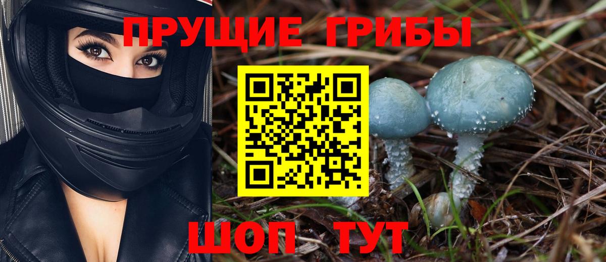 Галлюциногенные грибы Magic Shrooms  Галлюциногенные грибы Cubensis  Ростов-на-Дону  Вход с VPN 